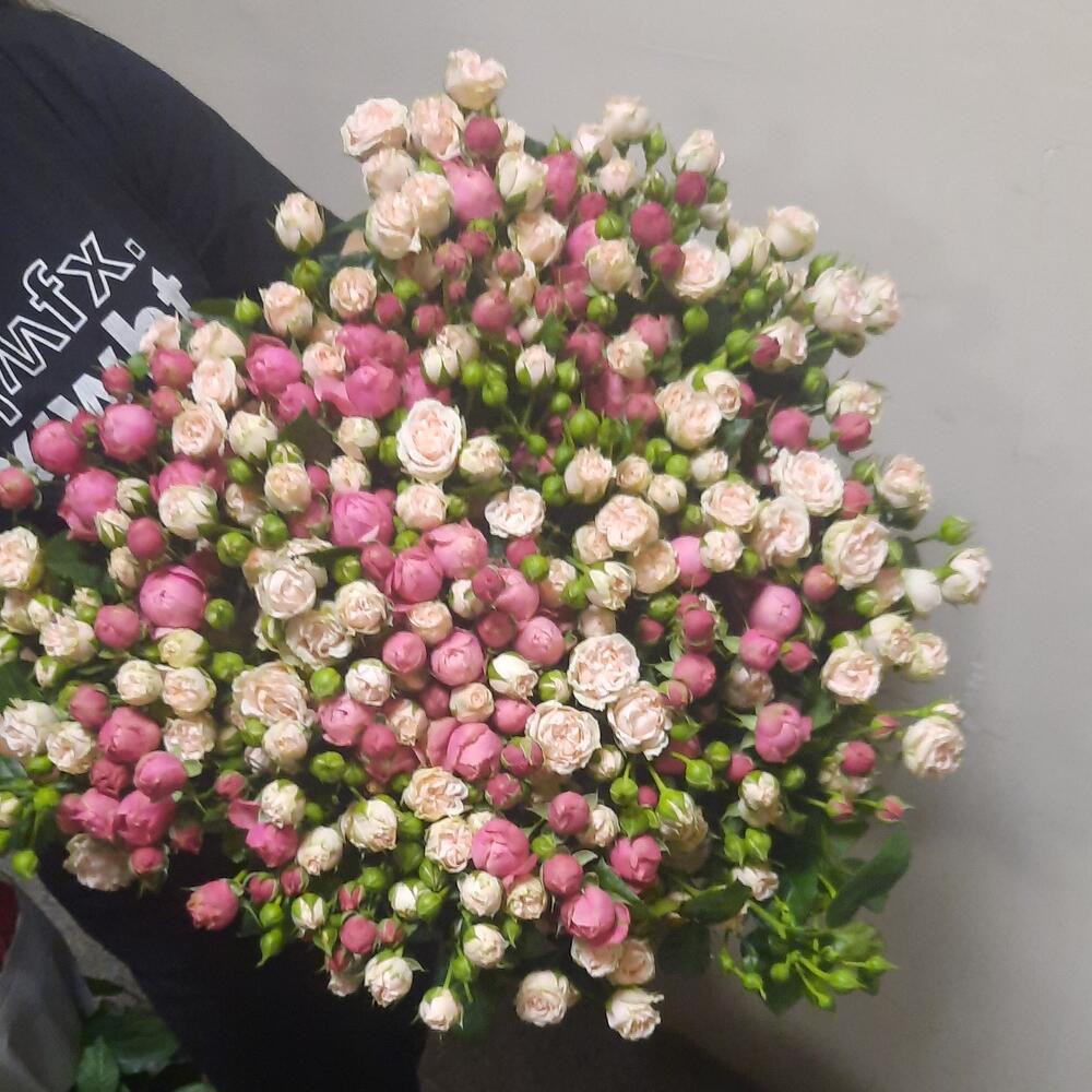 Букет из кустовых роз